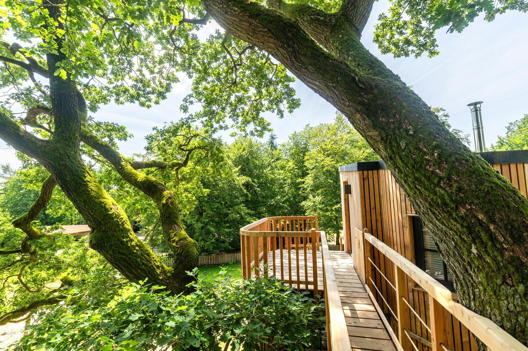 Appartement Heide Ferien - Hof Bockelmann à Bispingen Chambre photo
