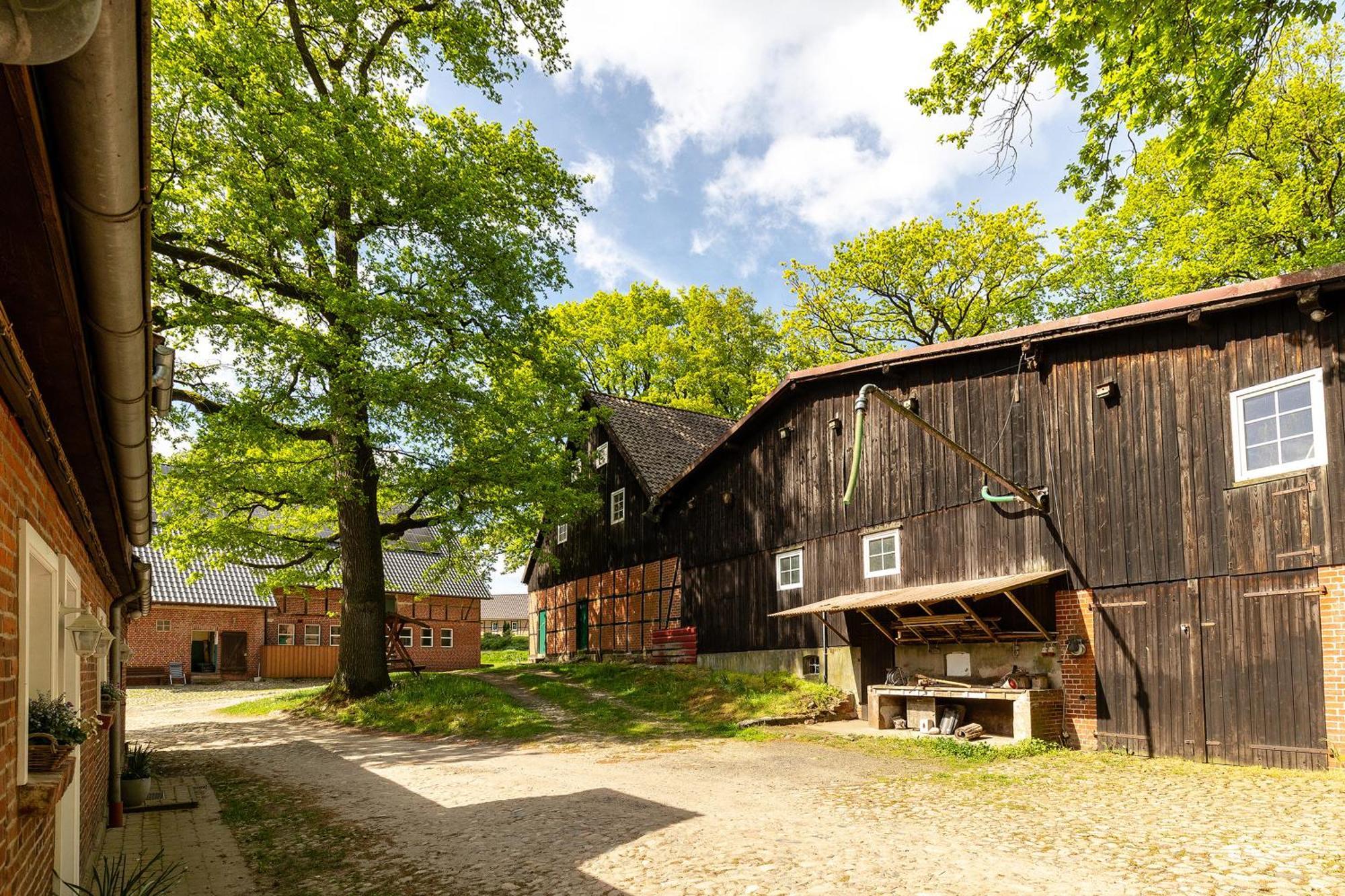 Appartement Heide Ferien - Hof Bockelmann à Bispingen Extérieur photo
