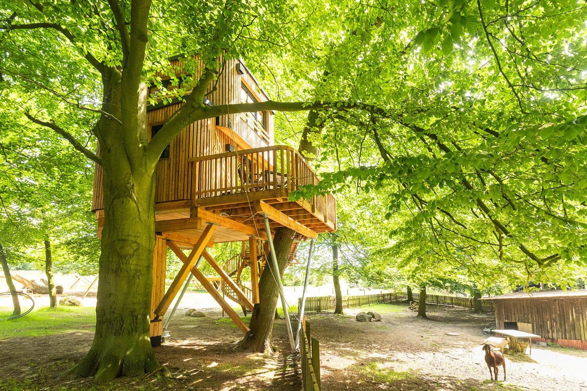 Appartement Heide Ferien - Hof Bockelmann à Bispingen Extérieur photo