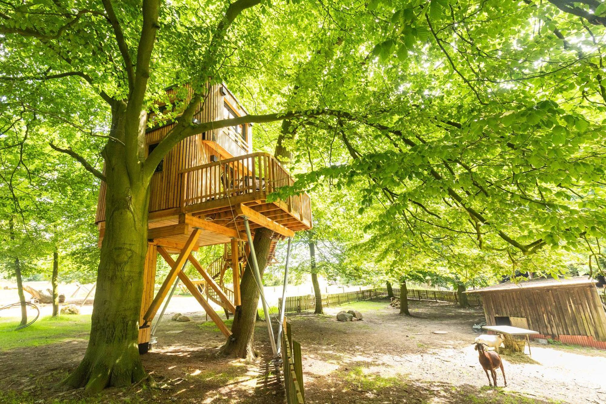 Appartement Heide Ferien - Hof Bockelmann à Bispingen Chambre photo